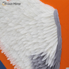 Перья женщина абстрактная картина на холсте стены книги по искусству WXPP-75 печать плакат картина декоративная живопись гостиная украшение дома